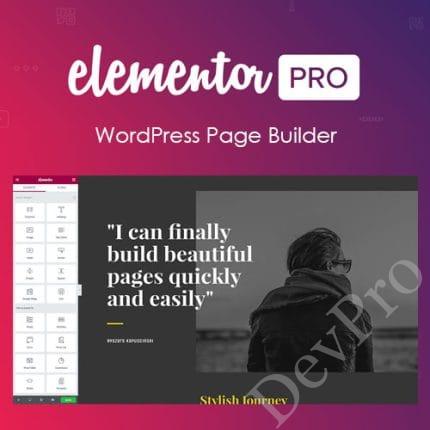Elementor PRO